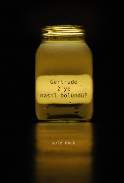 Gertrude 2′ye nasıl bölündü?